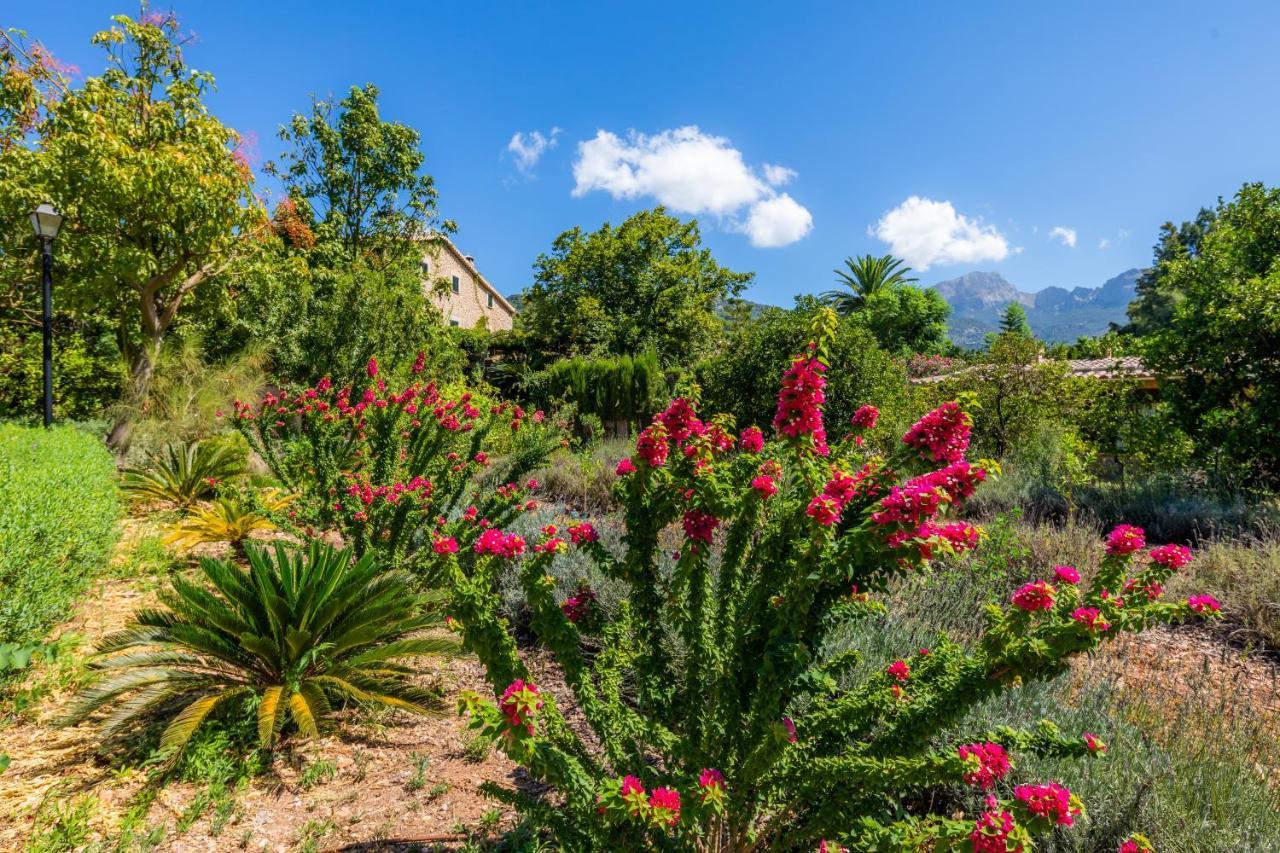 Finca Ca'S Curial - Agroturismo - Adults Only Soller Bagian luar foto