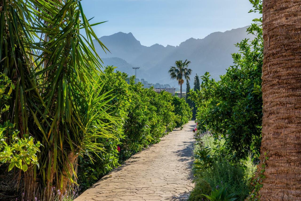 Finca Ca'S Curial - Agroturismo - Adults Only Soller Bagian luar foto
