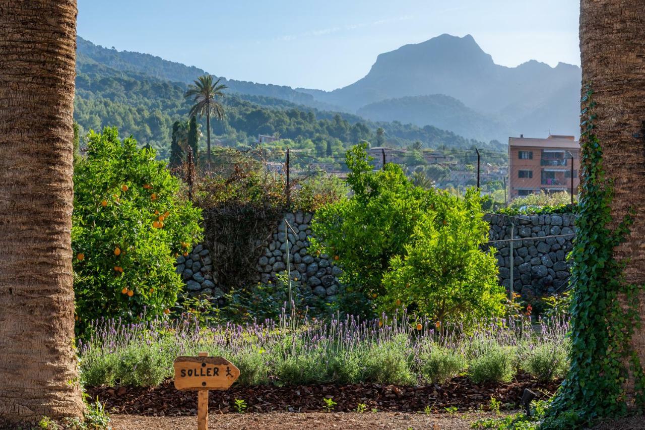 Finca Ca'S Curial - Agroturismo - Adults Only Soller Bagian luar foto